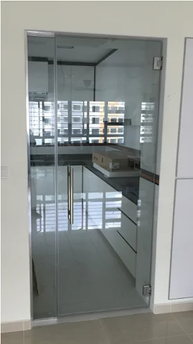 Tempered Glass Swing Door