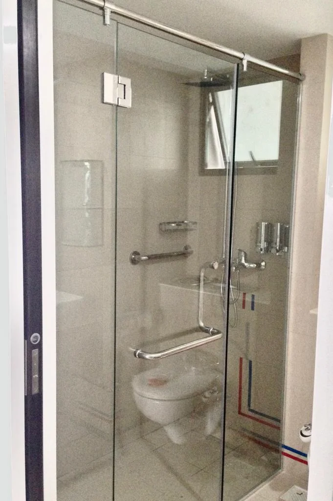 Tempered Glass Shower Swing Door